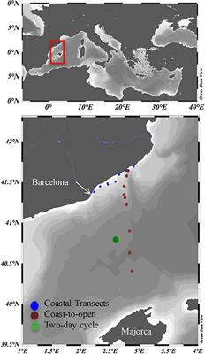 Horizontal and Vertical Distributions of Transparent Exopolymer Particles (TEP) in the NW Mediterranean Sea Are Linked to Chlorophyll a and O2 Variability